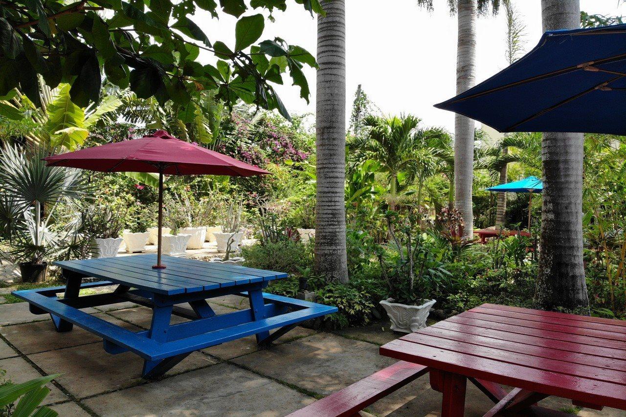 Hotel Negril Palms Extérieur photo