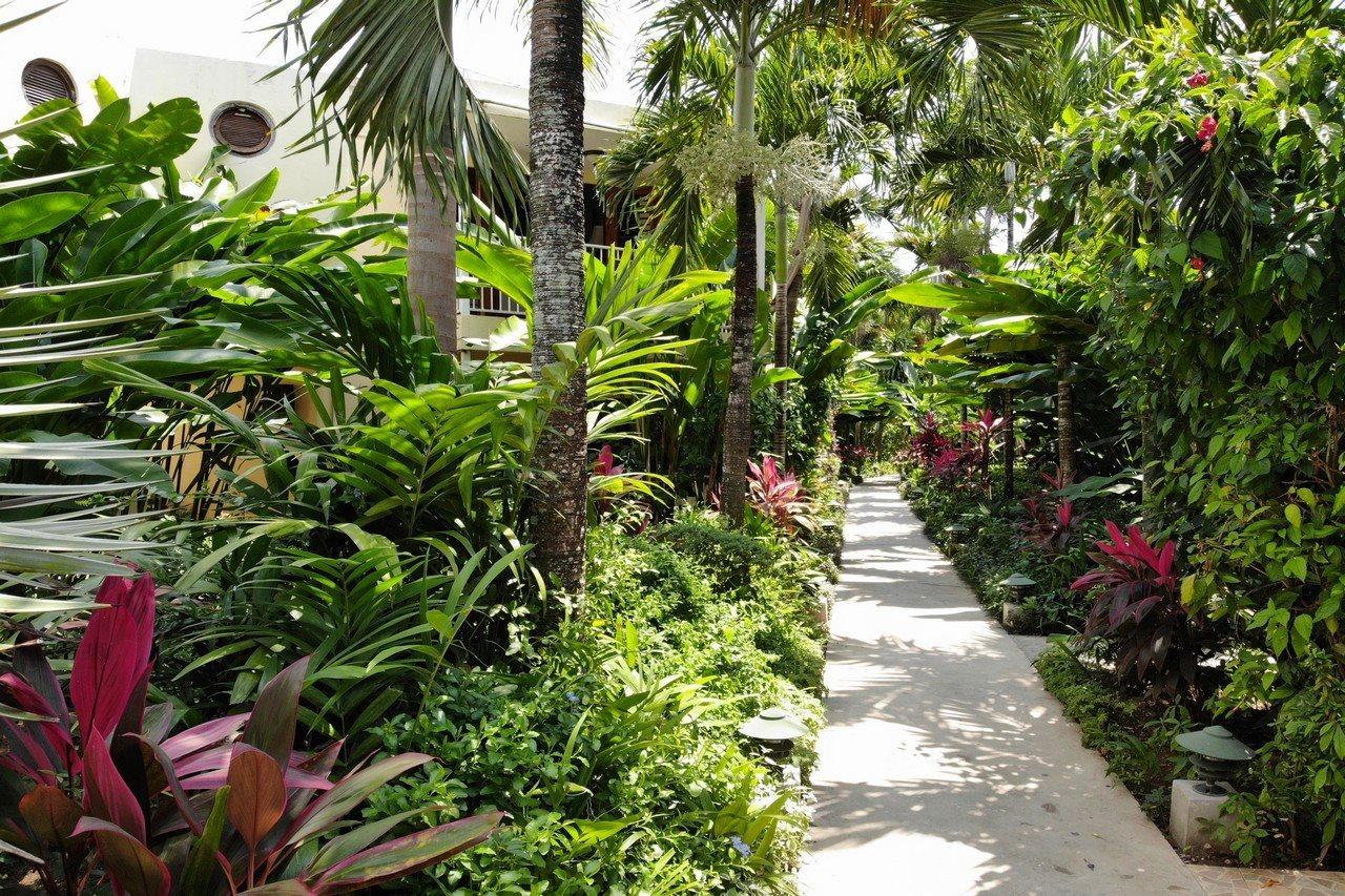 Hotel Negril Palms Extérieur photo