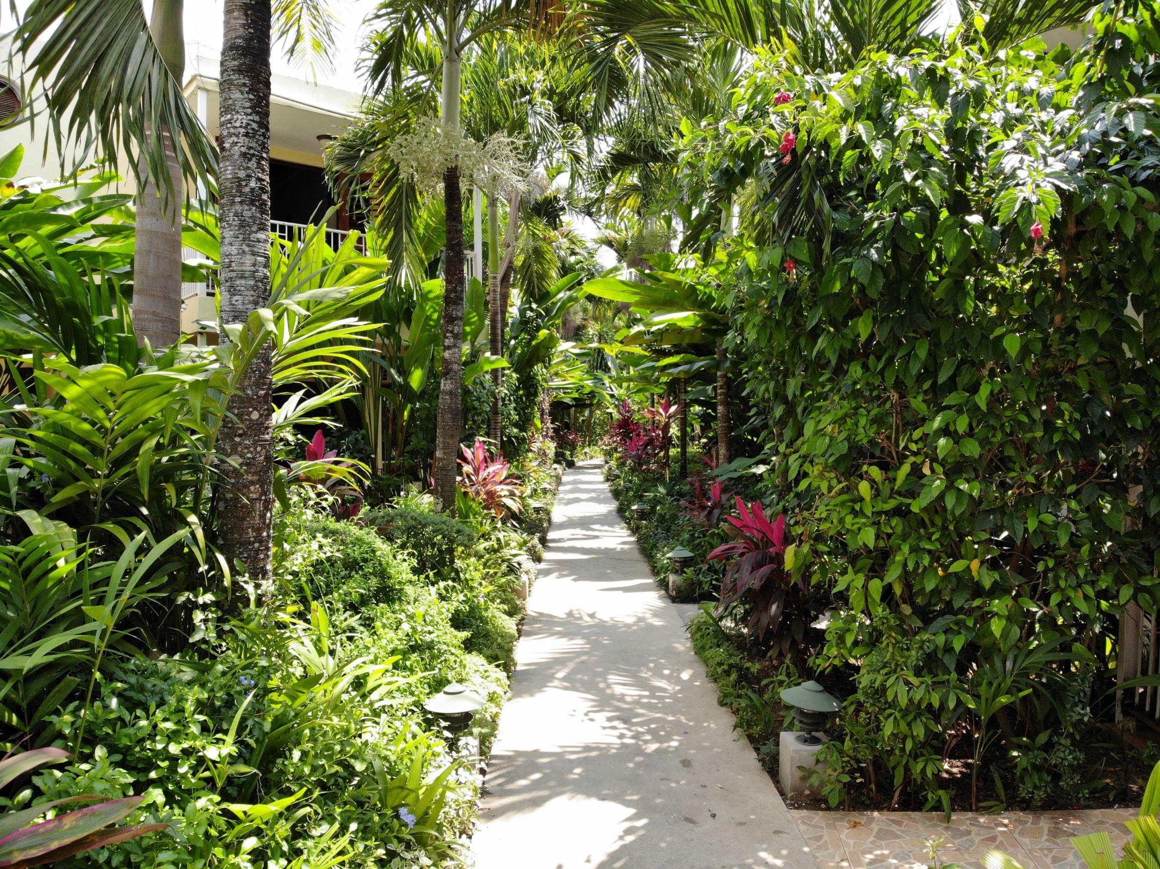 Hotel Negril Palms Extérieur photo